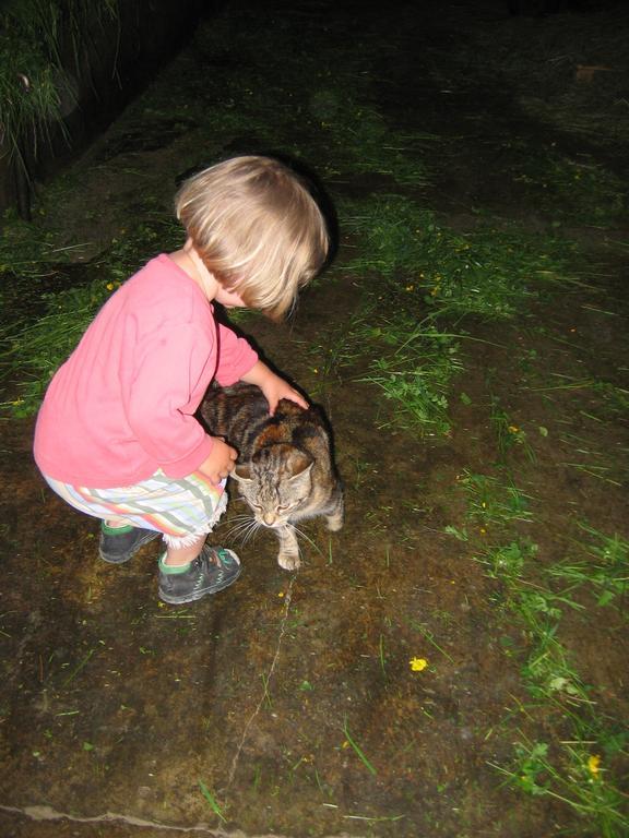 Baby- Und Kinderhof Aicherbauer Seeham ภายนอก รูปภาพ