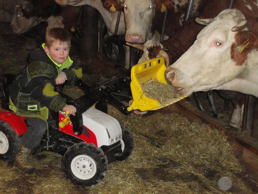 Baby- Und Kinderhof Aicherbauer Seeham ภายนอก รูปภาพ