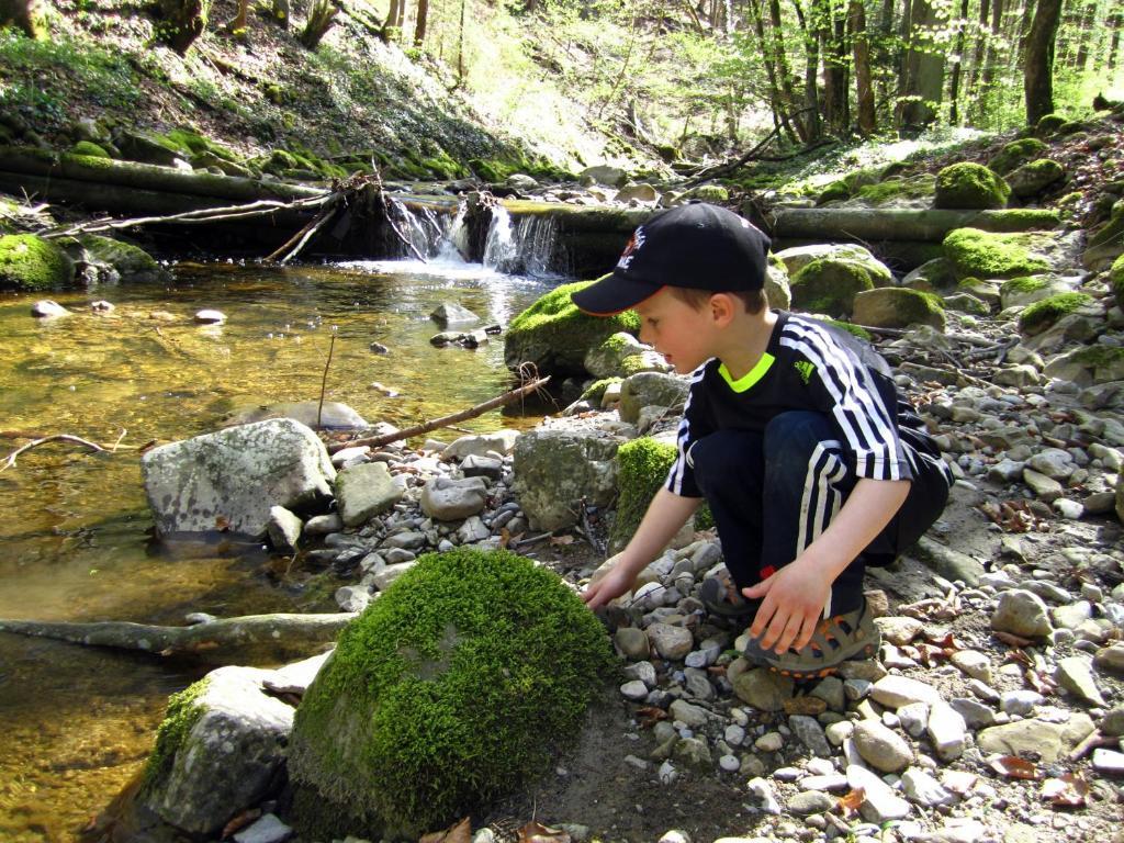 Baby- Und Kinderhof Aicherbauer Seeham ภายนอก รูปภาพ