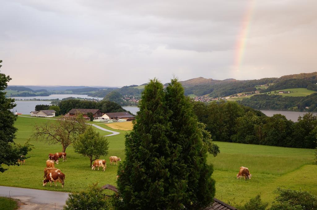 Baby- Und Kinderhof Aicherbauer Seeham ภายนอก รูปภาพ