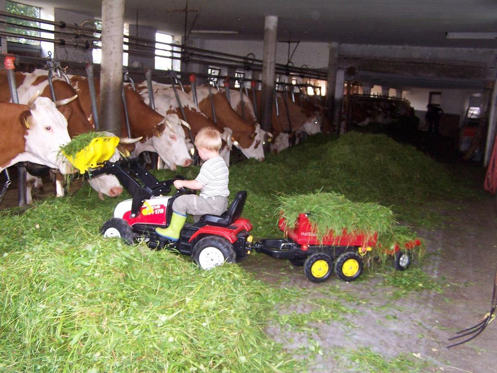 Baby- Und Kinderhof Aicherbauer Seeham ภายนอก รูปภาพ
