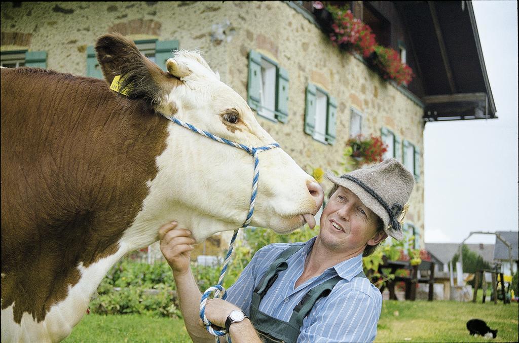 Baby- Und Kinderhof Aicherbauer Seeham ภายนอก รูปภาพ