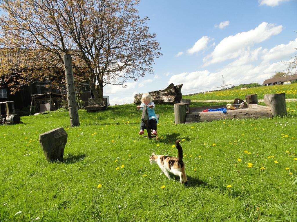 Baby- Und Kinderhof Aicherbauer Seeham ภายนอก รูปภาพ