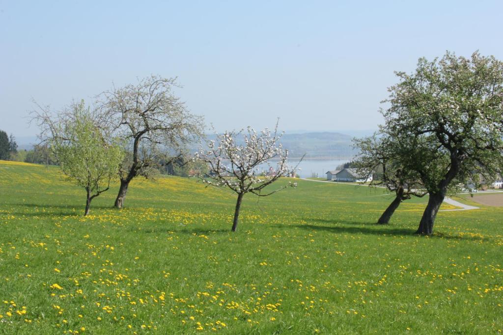 Baby- Und Kinderhof Aicherbauer Seeham ภายนอก รูปภาพ